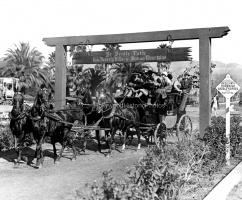 Sunset Bridle/Rodeo Dr. 1925 #1